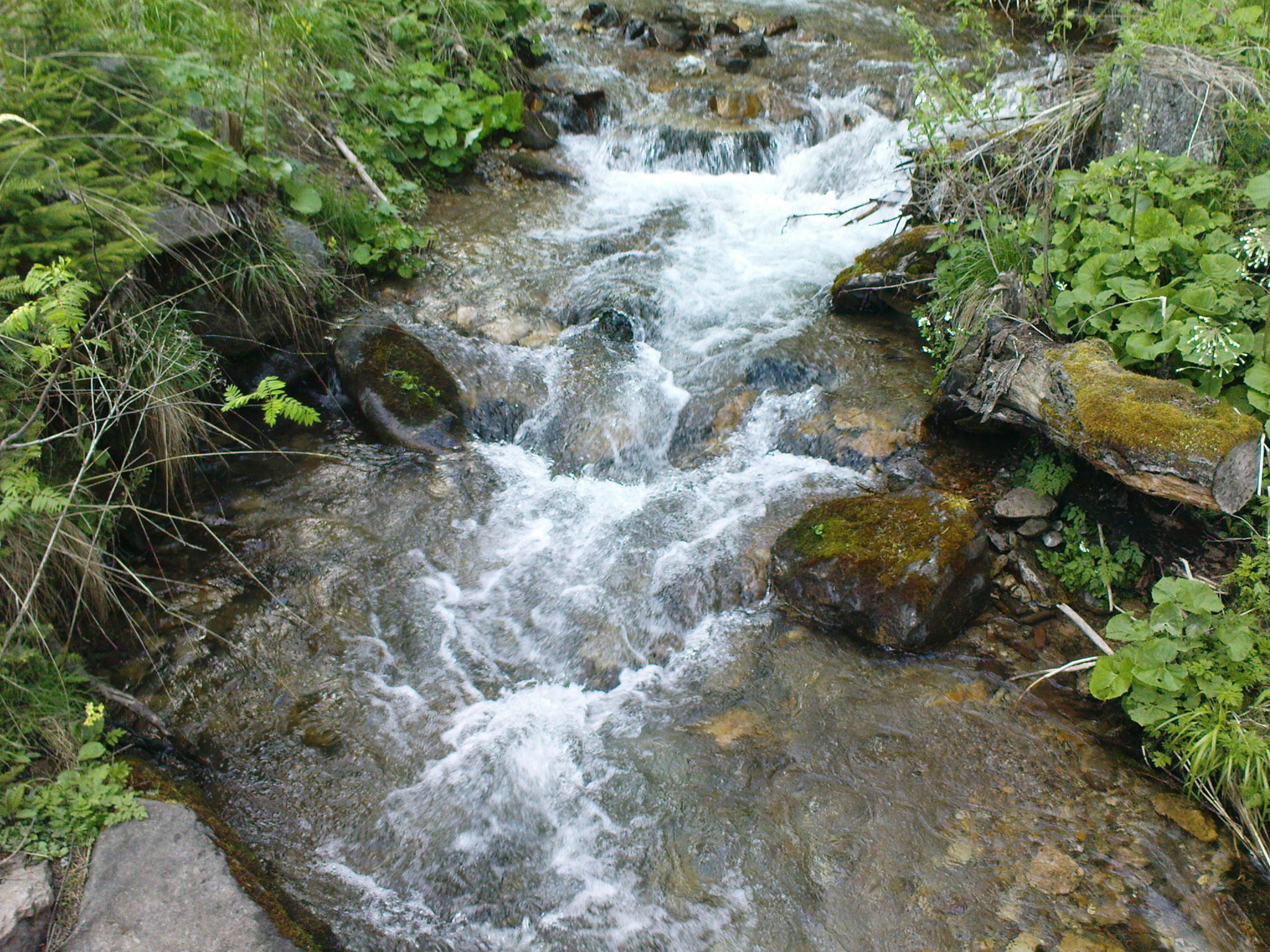 DSC00045.JPG