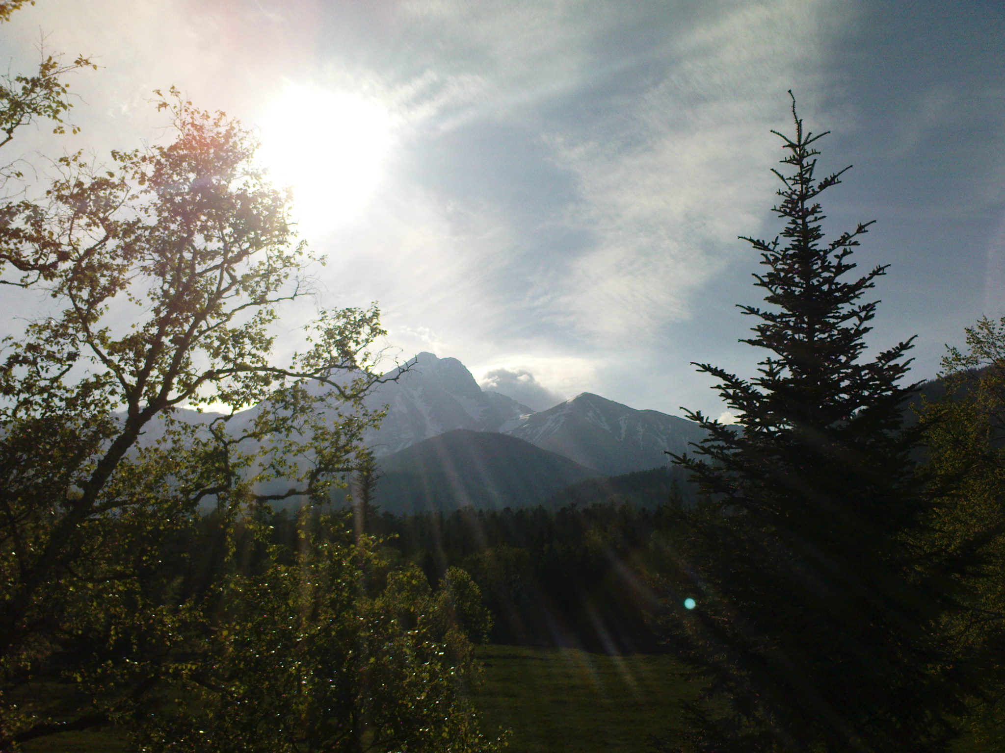 DSC00047.JPG