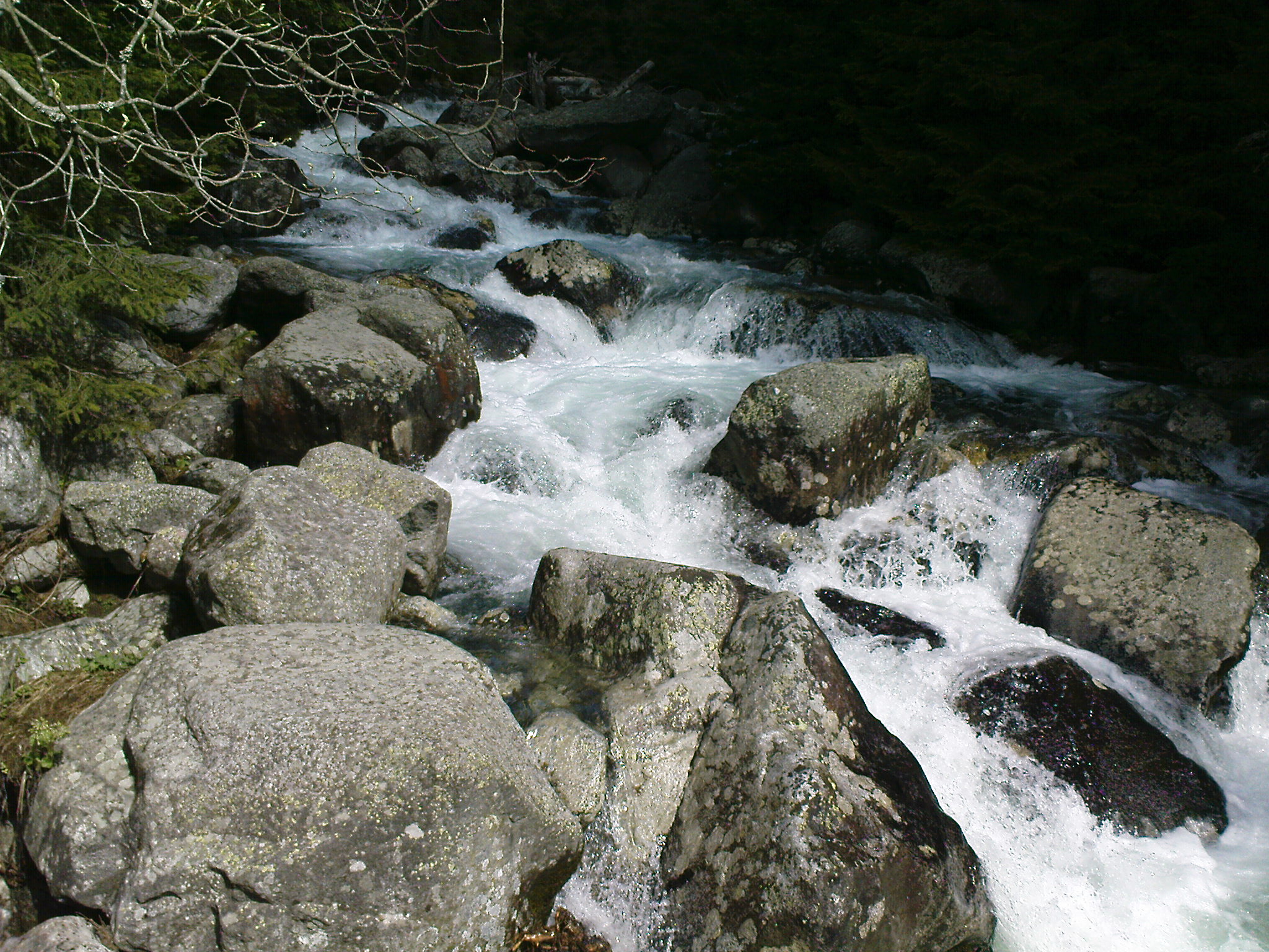 DSC00054.JPG