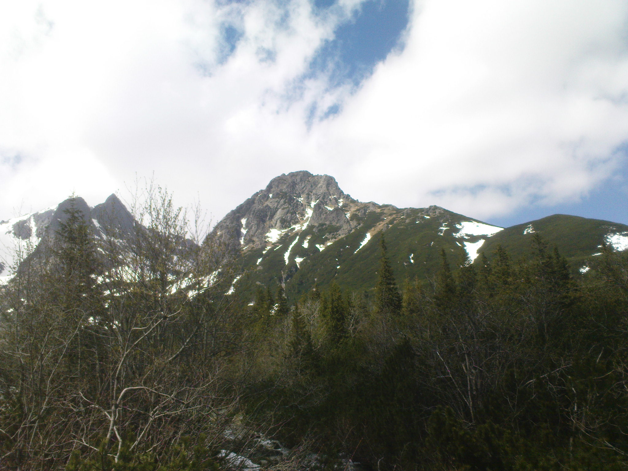 DSC00062.JPG