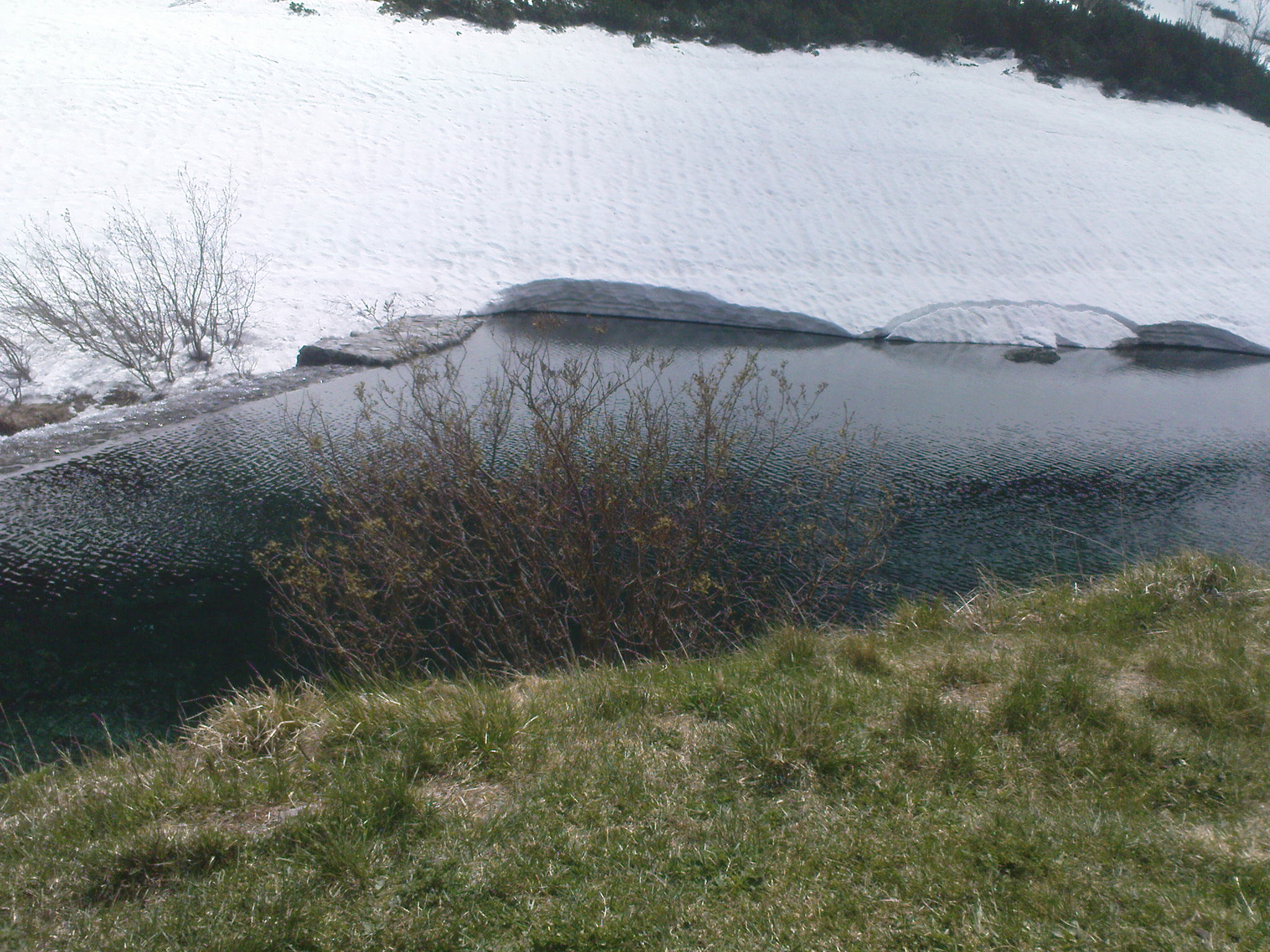 DSC00066.JPG