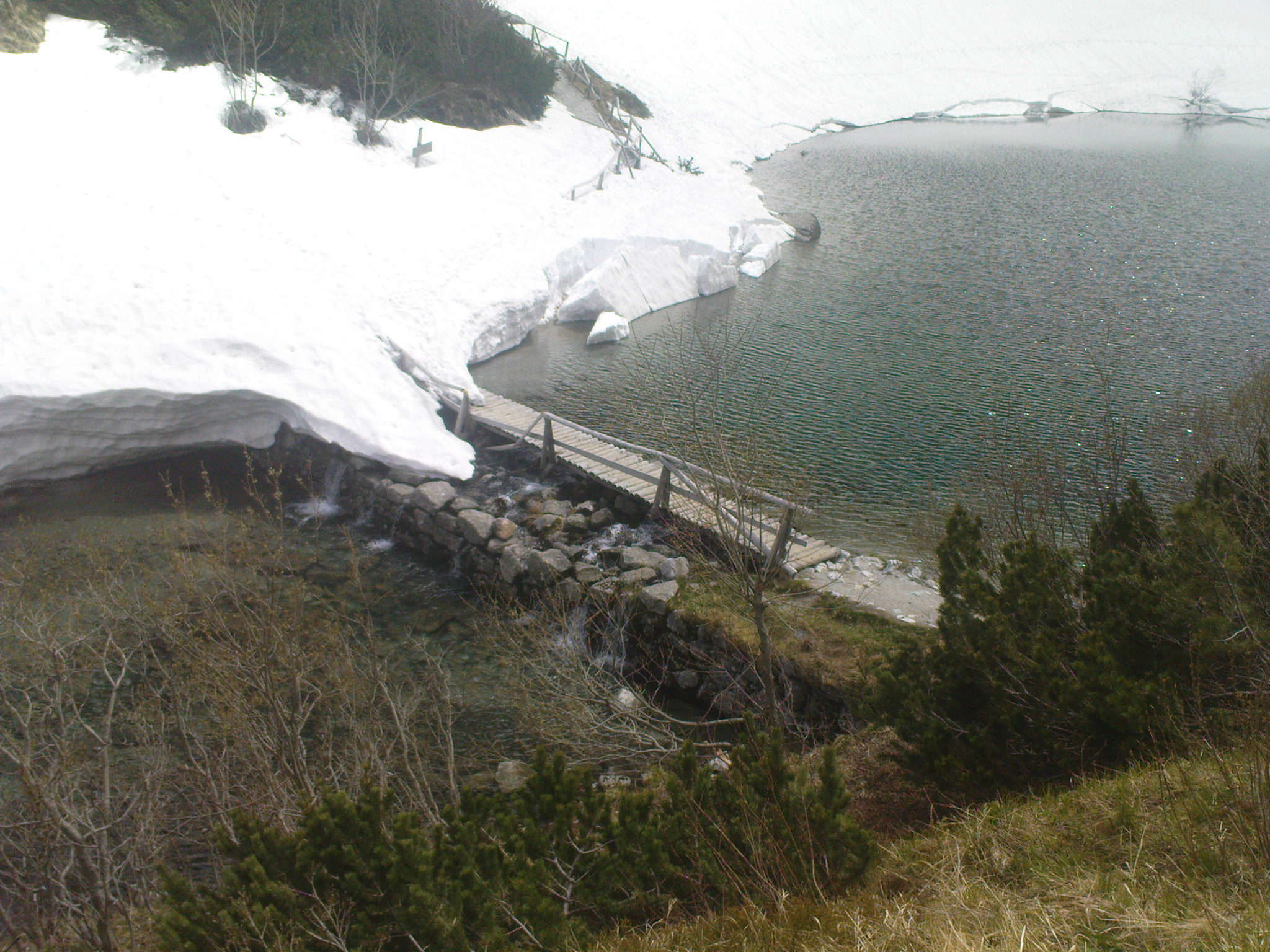 DSC00067.JPG
